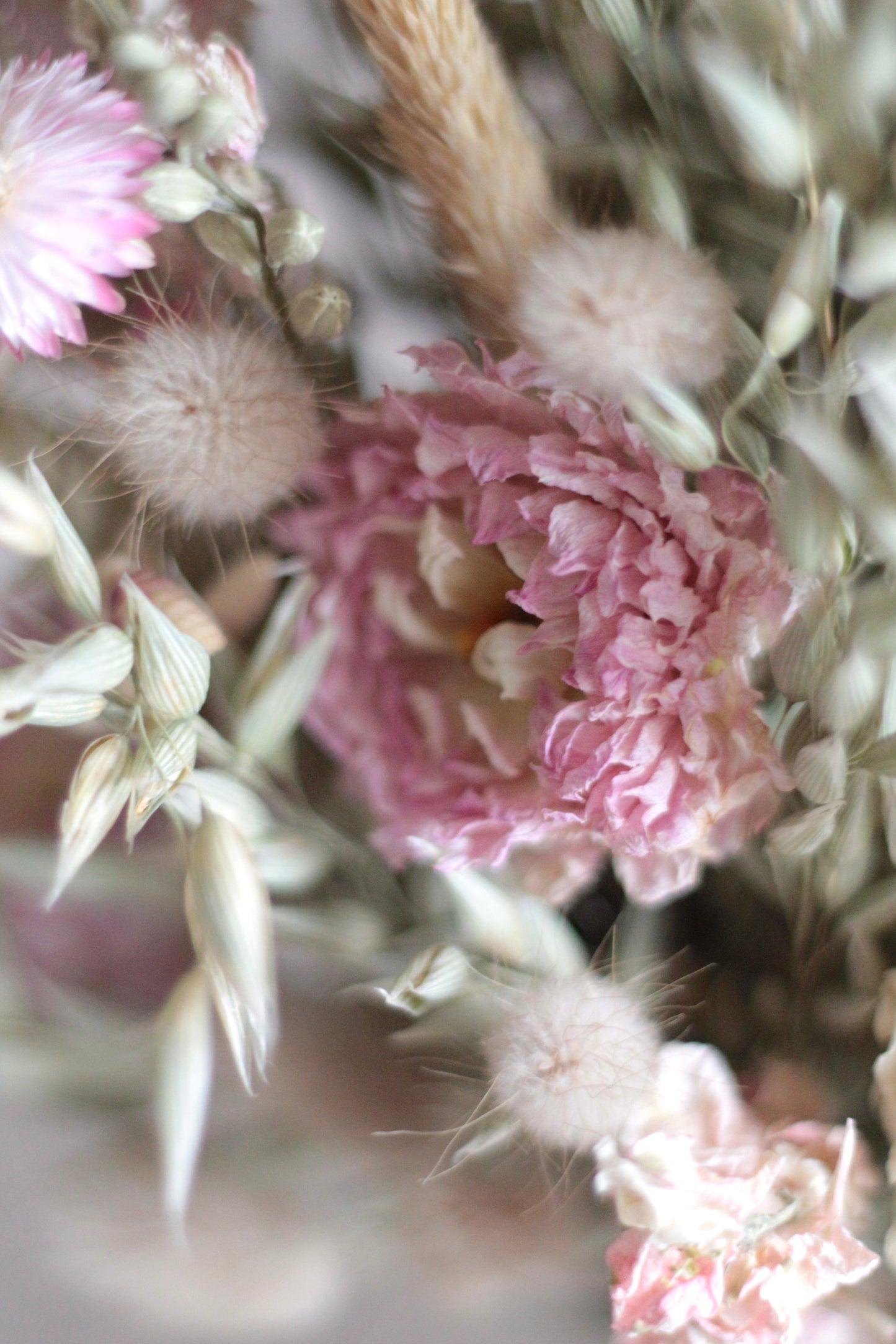 Blush