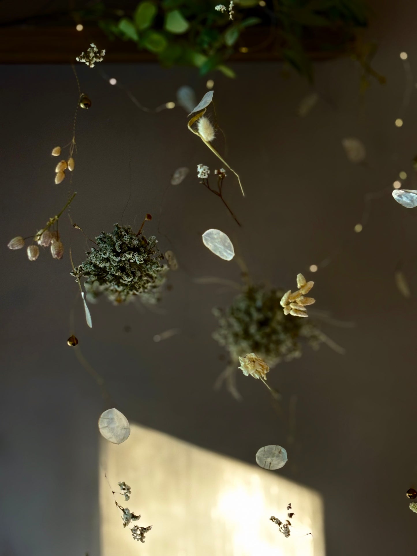 Strings of White and Gold