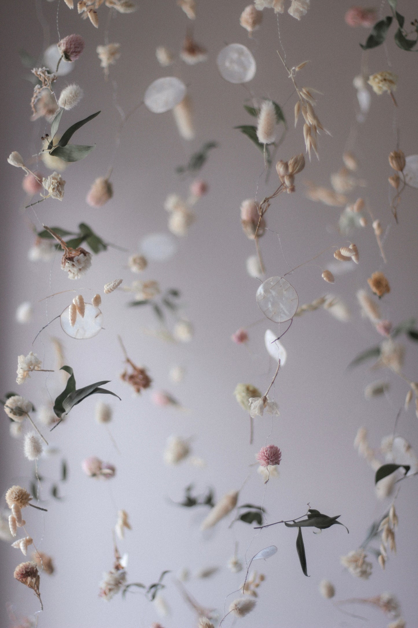 Hanging Botanical Installations - Set of 5