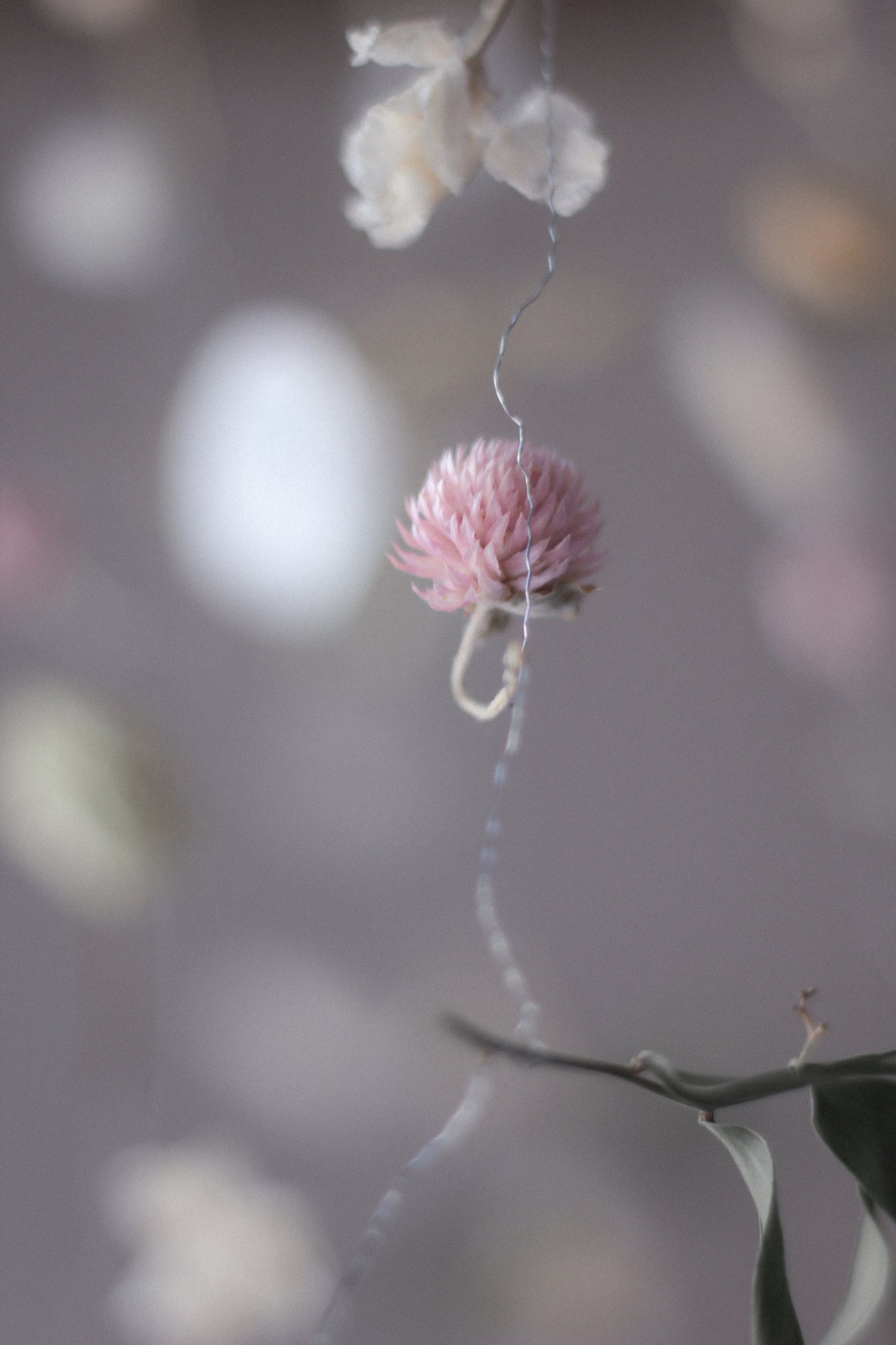 Hanging Botanical Installations - Set of 5