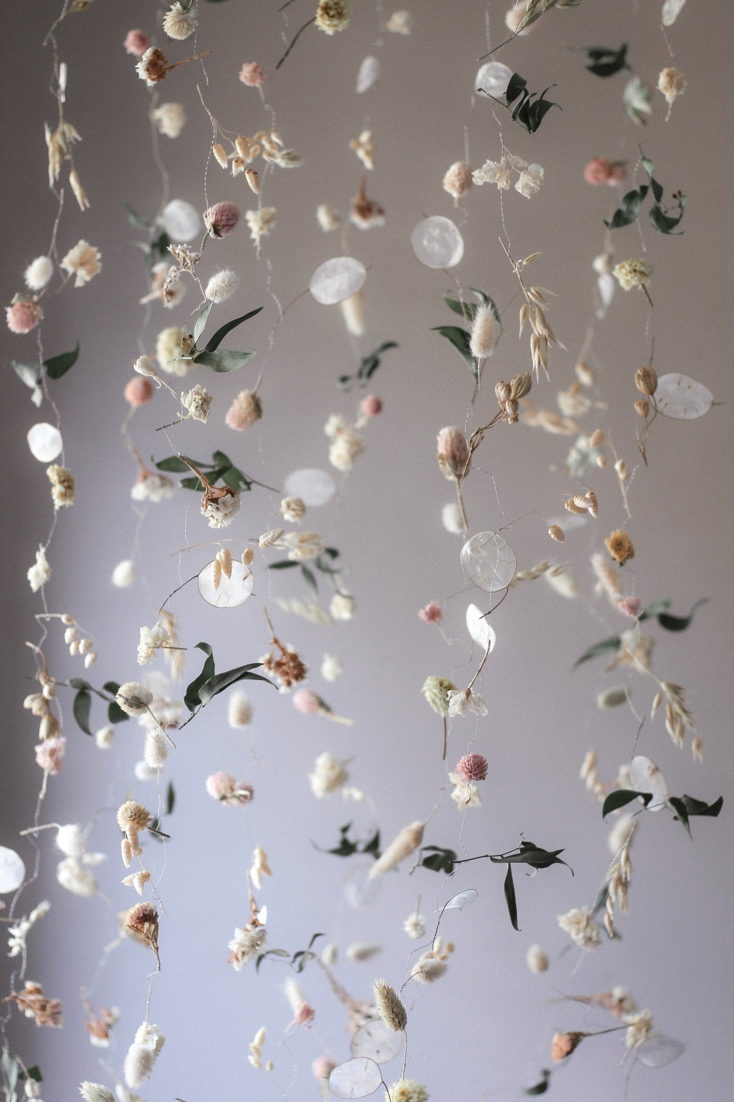 Hanging Botanical Installations - Set of 5