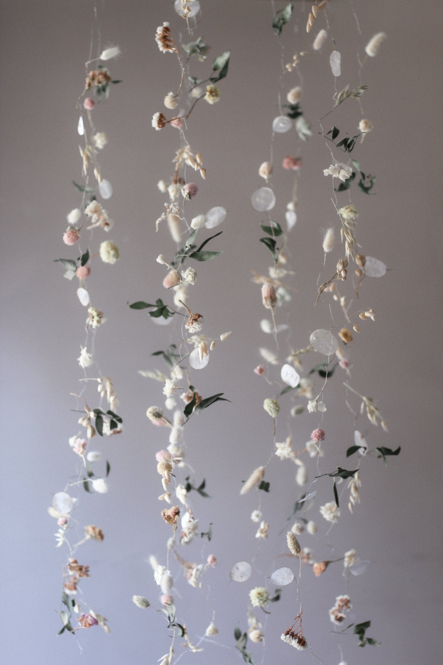 Hanging Botanical Installations - Set of 5