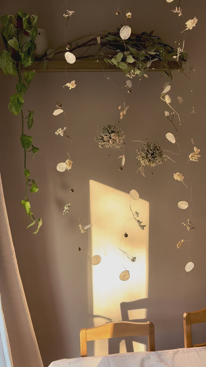 Strings of White and Gold